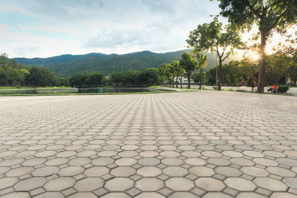 Best Residential Paver Driveway  in Dickinson, ND
