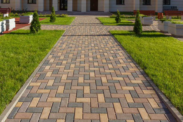 Best Local Driveway Pavers  in Dickinson, ND